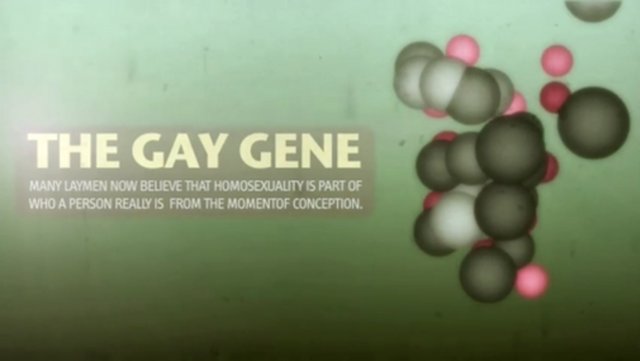 gay gene